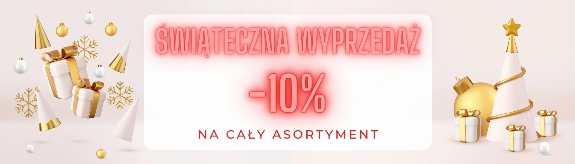 Świąteczna Promocja